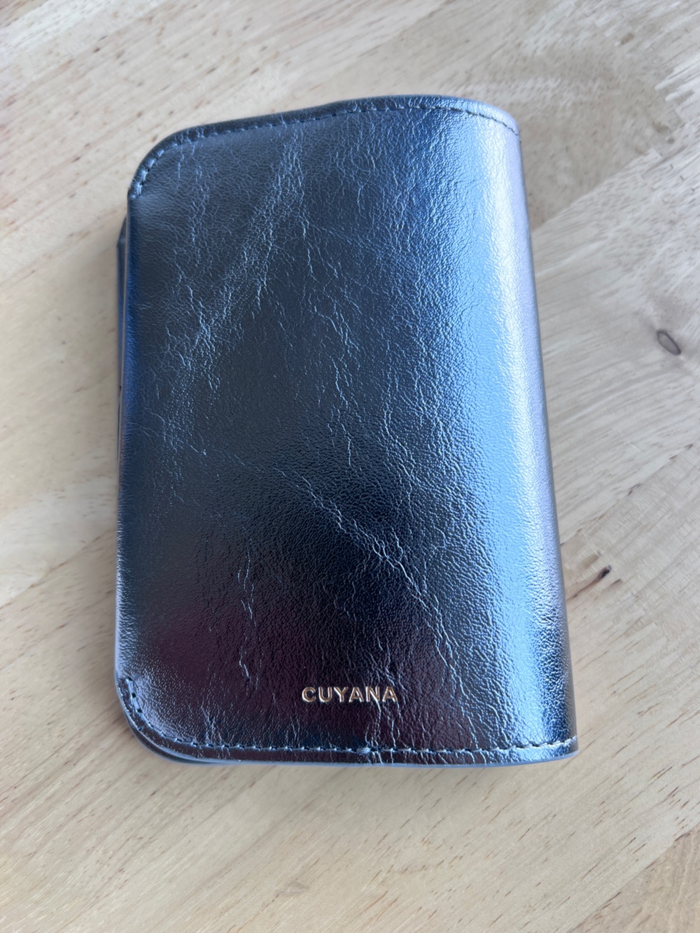 Cuyana Silver Leather Passport Case